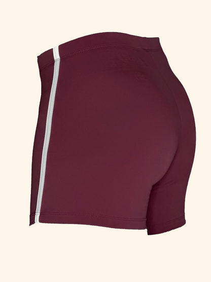1/4 EKTO GT 1.0 MERLOT