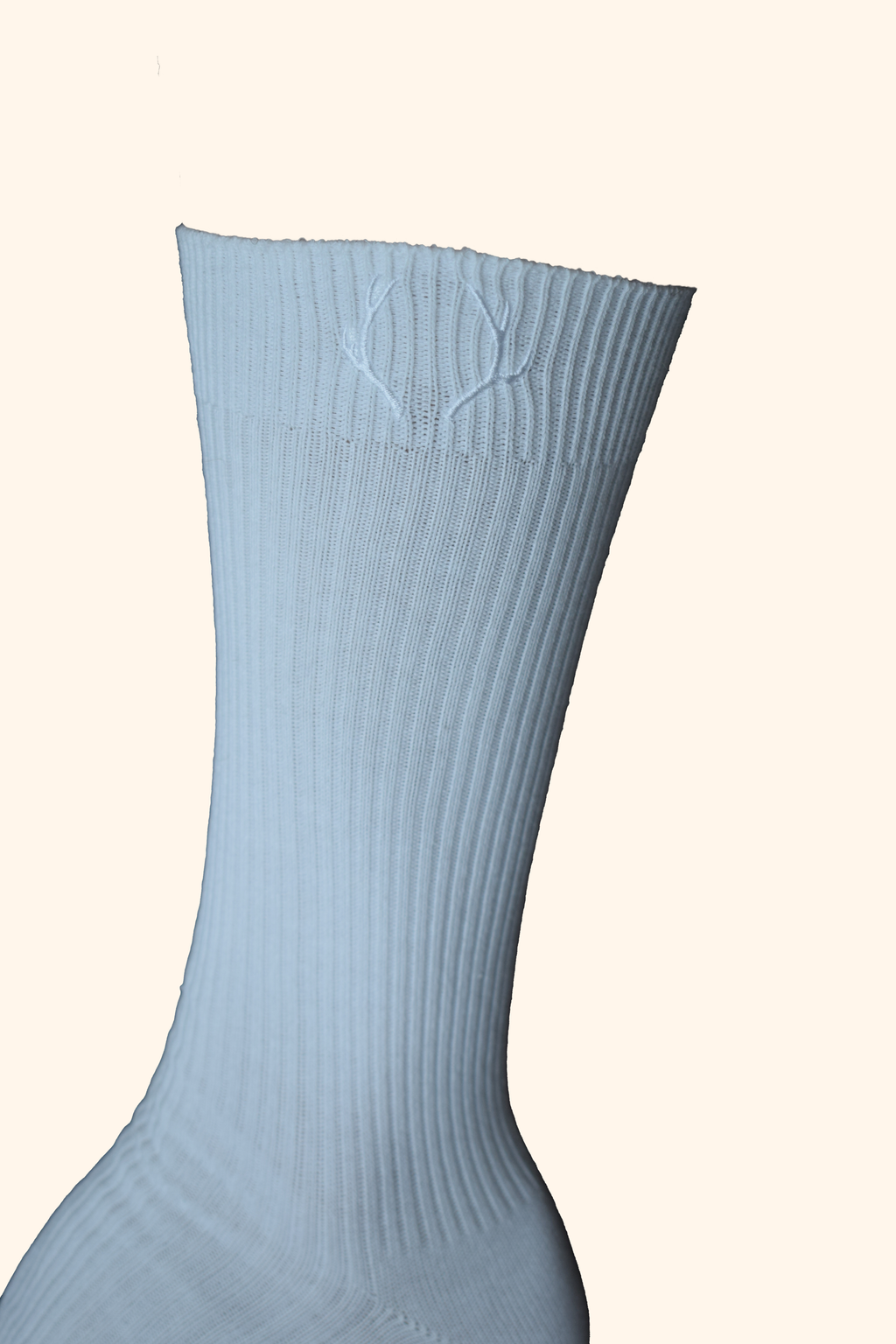 GENTS SOCKS (2 PACK)